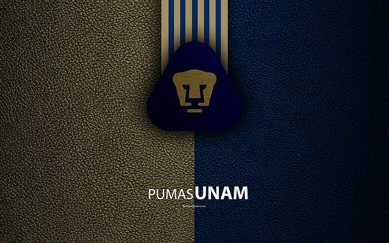 PUMAS FILIAL TABASCO