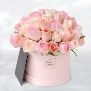 Box 24 Rosas